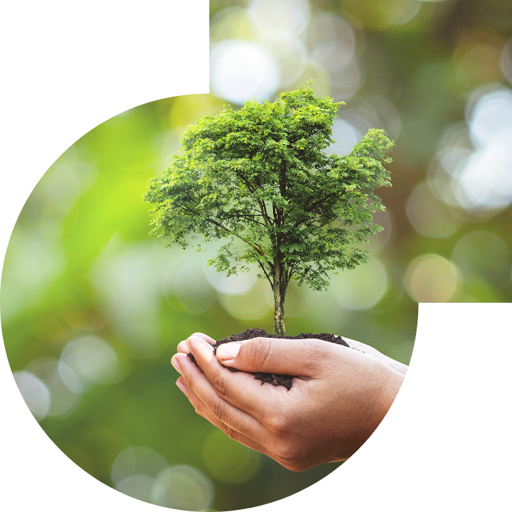 關懷人類、文化、環境與社會